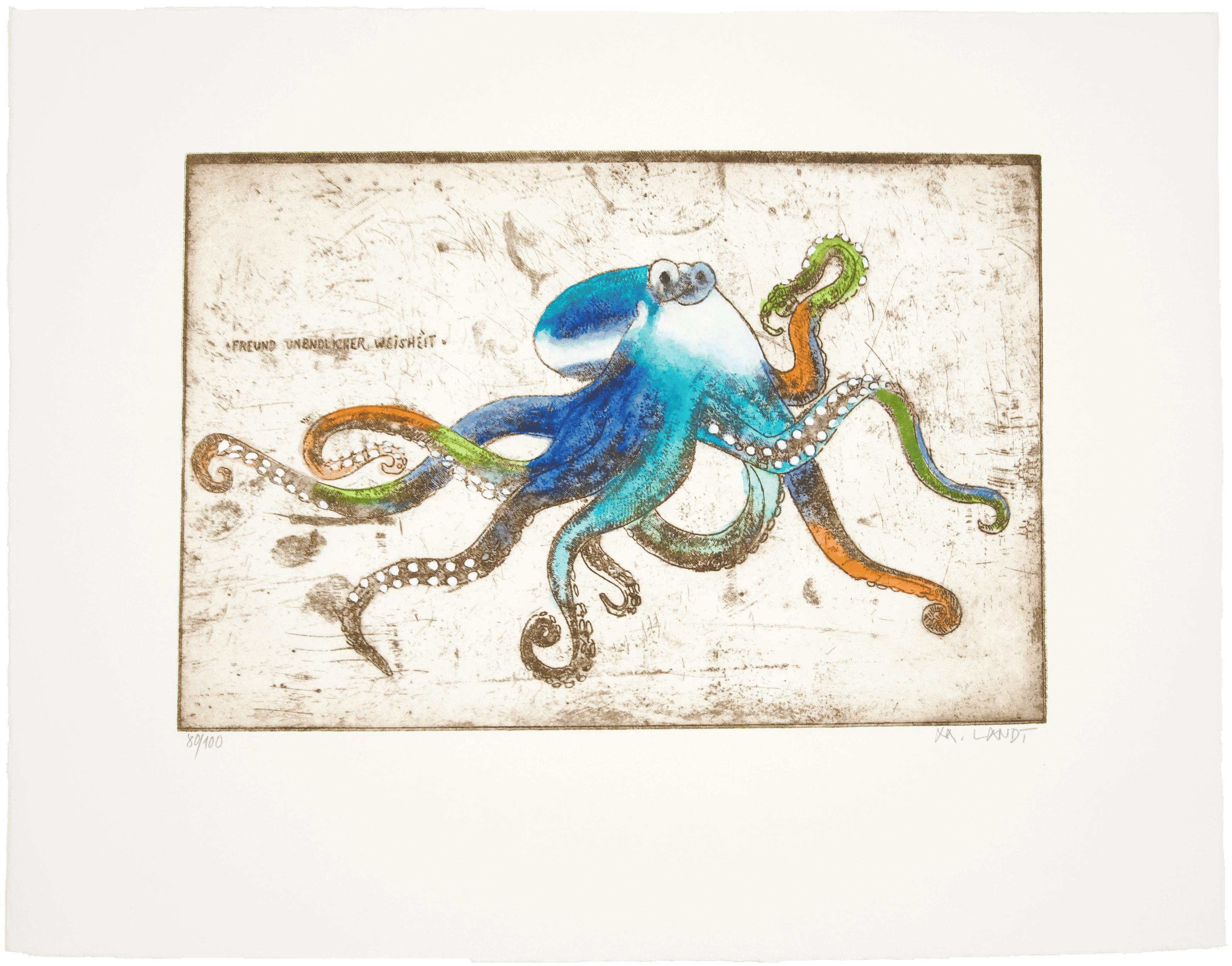 Oktopus Freund unendlicher Weisheit