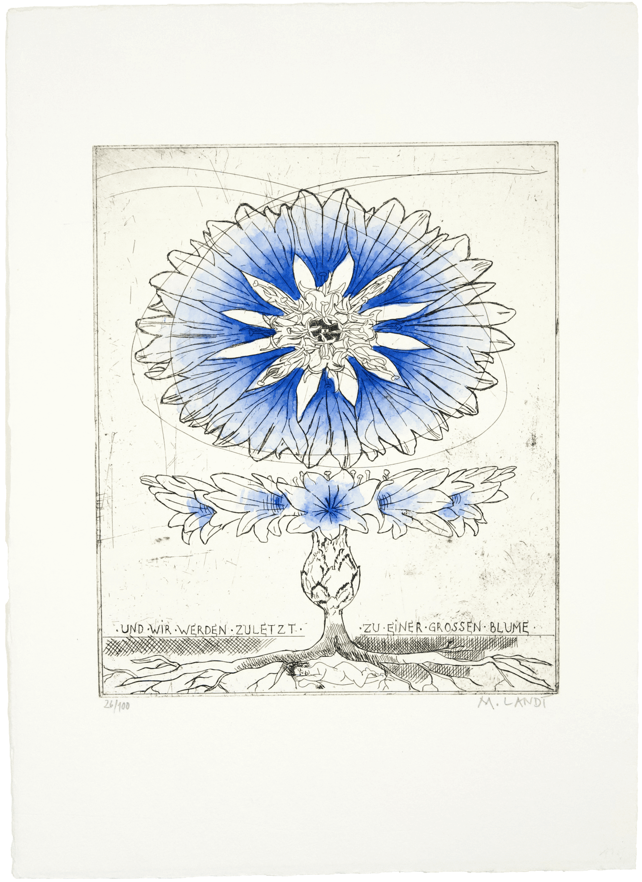 zuletzt zu einer großen Blume